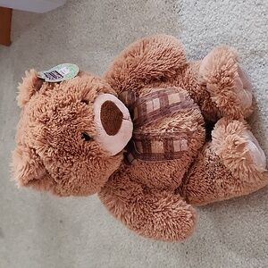 Brown teddy